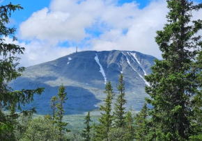 Ny leilighet med flott utsikt til Gaustatoppen